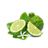 Bergamot
