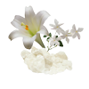 White Musk